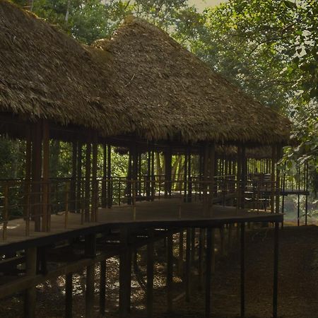 Yucuruche Treehouse Lodge المظهر الخارجي الصورة