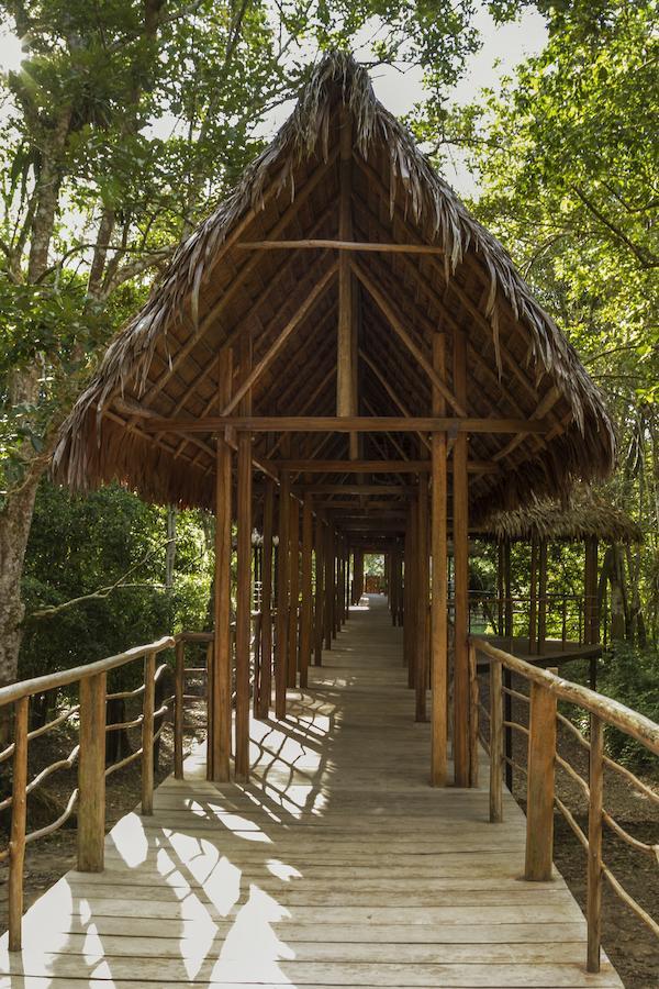 Yucuruche Treehouse Lodge المظهر الخارجي الصورة