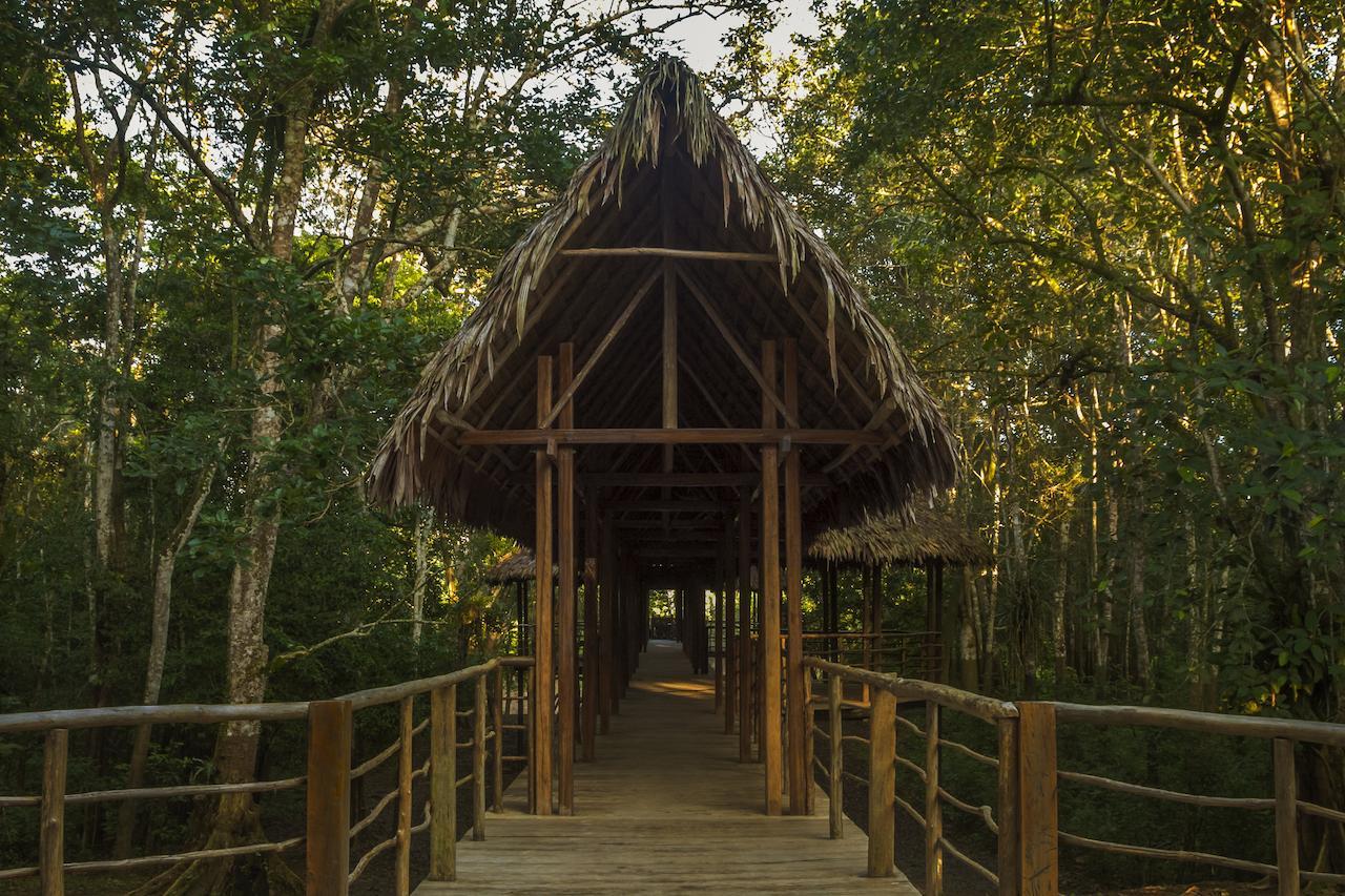 Yucuruche Treehouse Lodge المظهر الخارجي الصورة