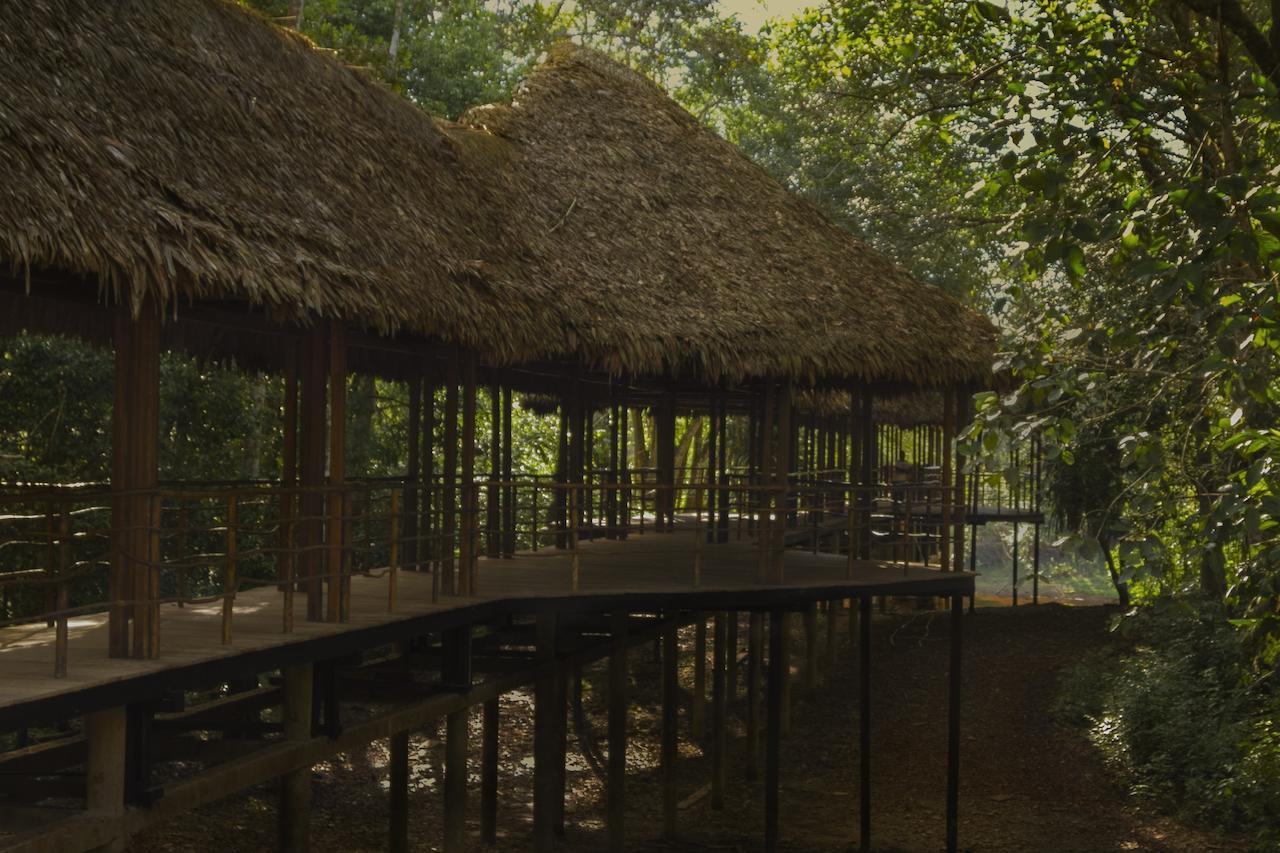 Yucuruche Treehouse Lodge المظهر الخارجي الصورة