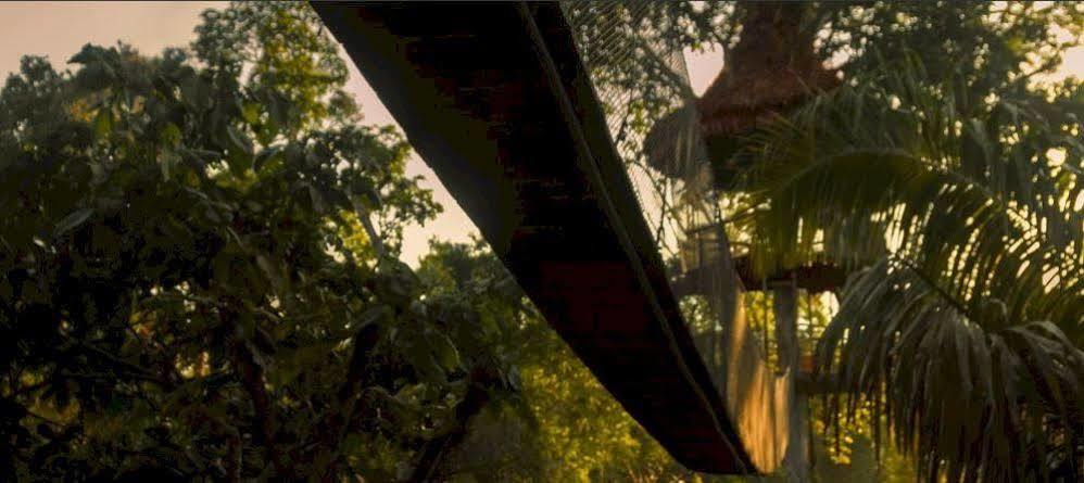 Yucuruche Treehouse Lodge المظهر الخارجي الصورة