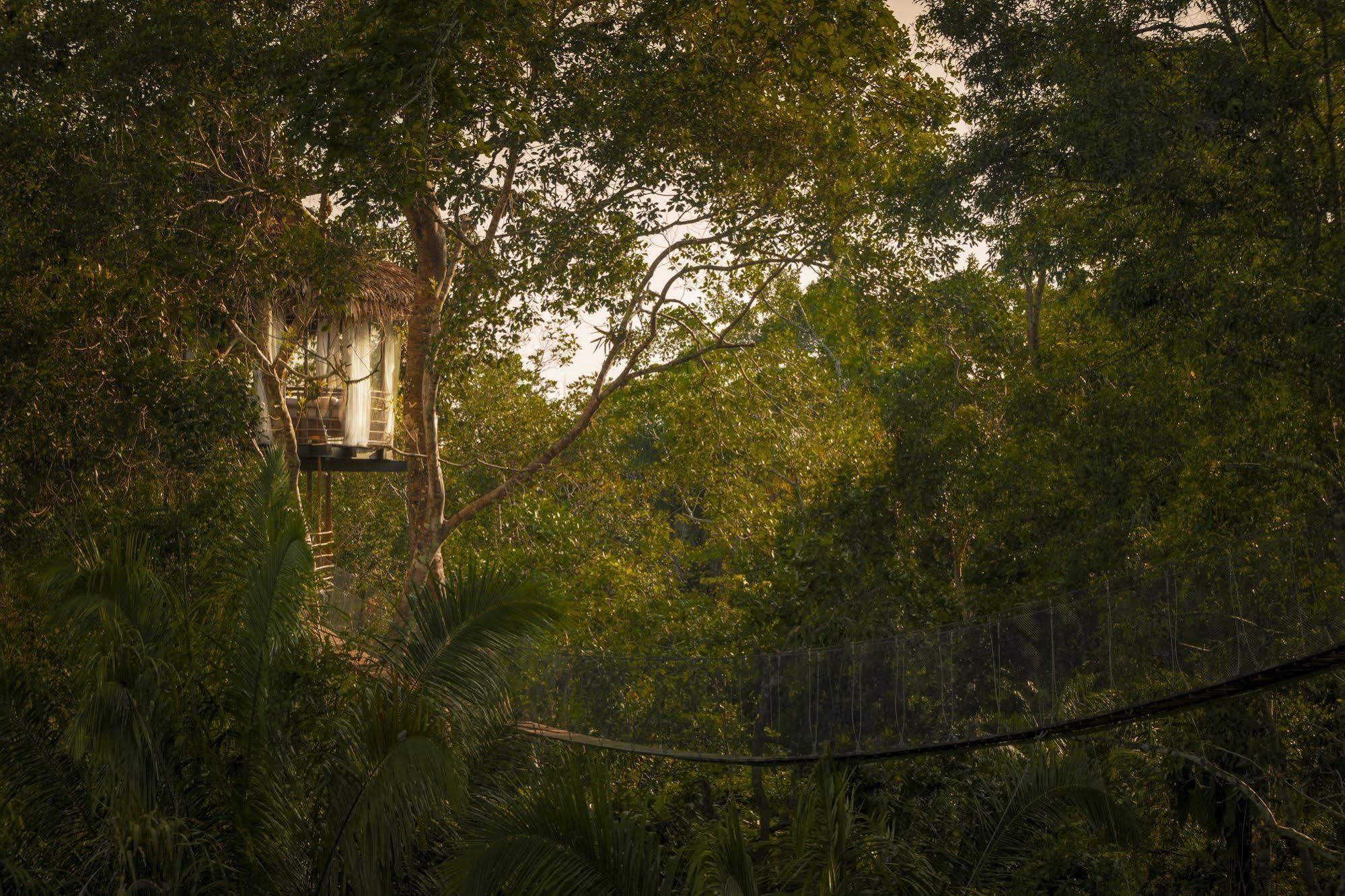 Yucuruche Treehouse Lodge المظهر الخارجي الصورة