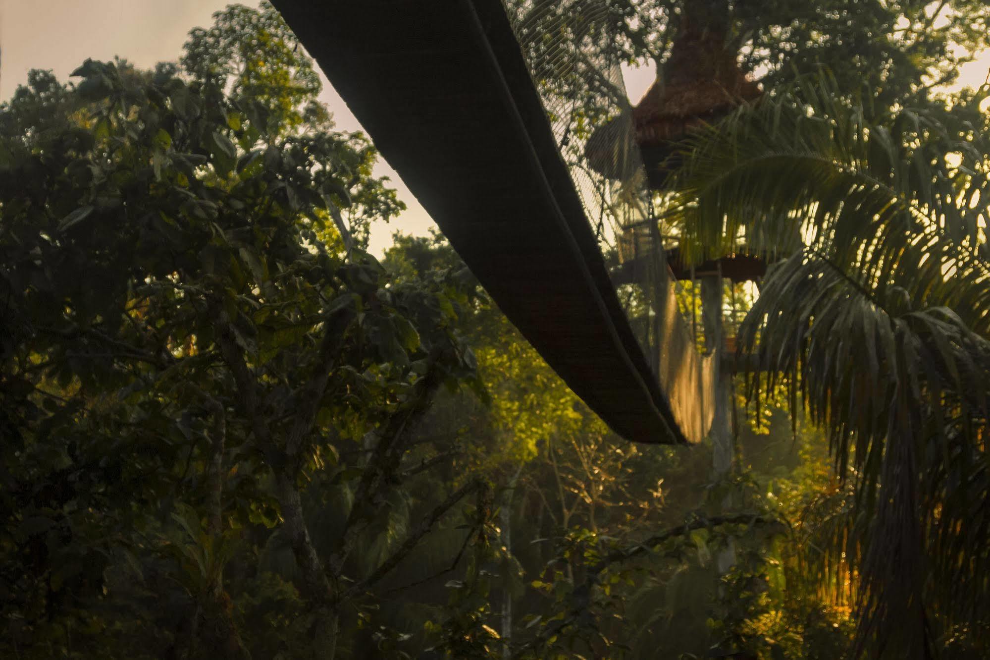 Yucuruche Treehouse Lodge المظهر الخارجي الصورة